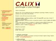 Nhled www strnek http://www.calix.cz/