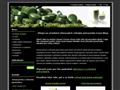 Nhled www strnek http://www.jecmen-chlorella.com/