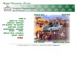 Kliknutím přejdete na www.royallimousine.cz Náhled www stránek http://www.royallimousine.cz