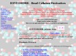 Nhled www strnek http://www.iontosorb.cz