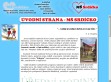 Nhled www strnek http://www.srdicko.liberec.net