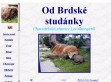 Nhled www strnek http://brdskastudanka.cz/