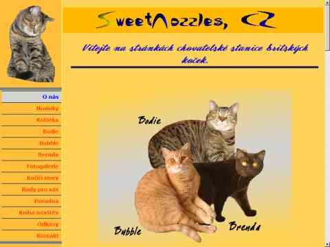 Nhled www strnek http://www.sweetnozzles.unas.cz