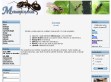 Nhled www strnek http://www.myrmekologie.com