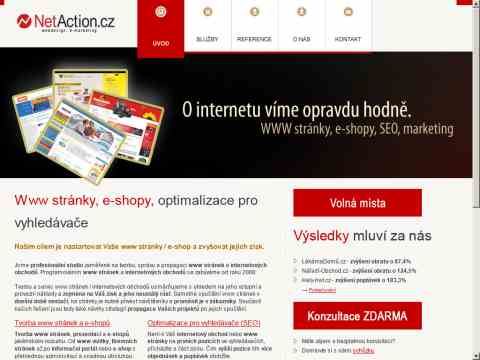 Nhled www strnek http://www.netaction.cz