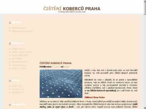 Nhled www strnek http://www.cisteni-kobercu-praha.cz