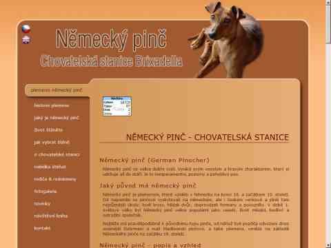 Nhled www strnek http://www.nemecky-pinc.cz