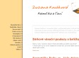 Kliknutím přejdete na www.kosmeticka-praha.cz Náhled www stránek http://www.kosmeticka-praha.cz