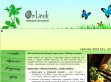 Kliknutím přejdete na www.ubytovani-orlickehory.cz Náhled www stránek http://www.ubytovani-orlickehory.cz
