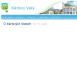 Nhled www strnek http://karlovy-vary-lazne.cz/